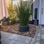 Zwischen Wald Und Wasser Mit Grossem Wasserbett & E-kamin Lägenhet